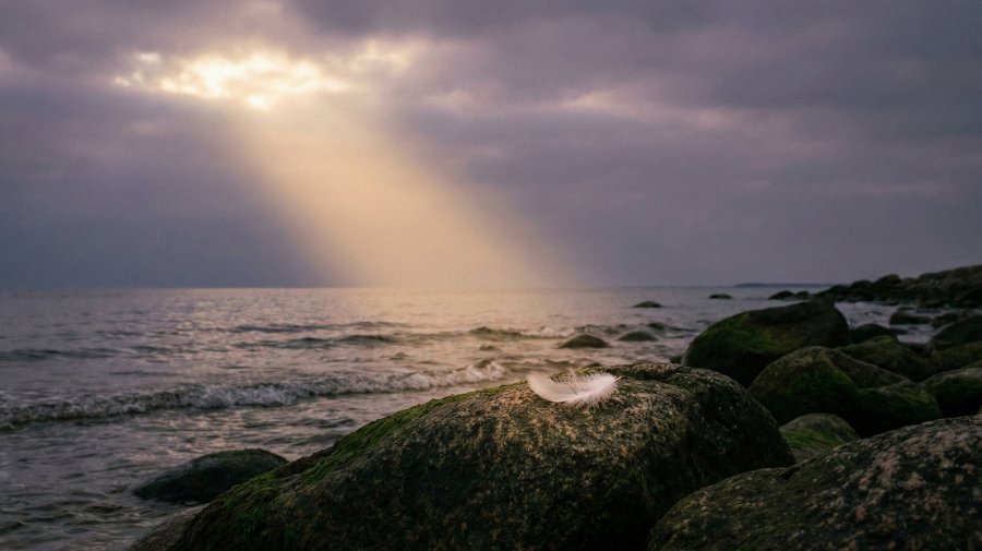 Nos bébés ont existé : le récit précieux de deux mamanges