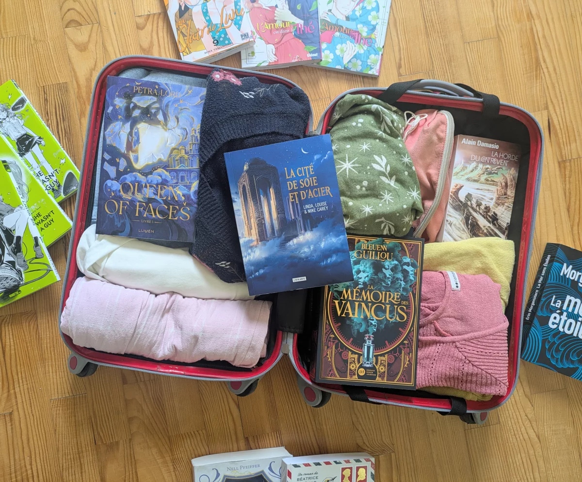 Valise et livres