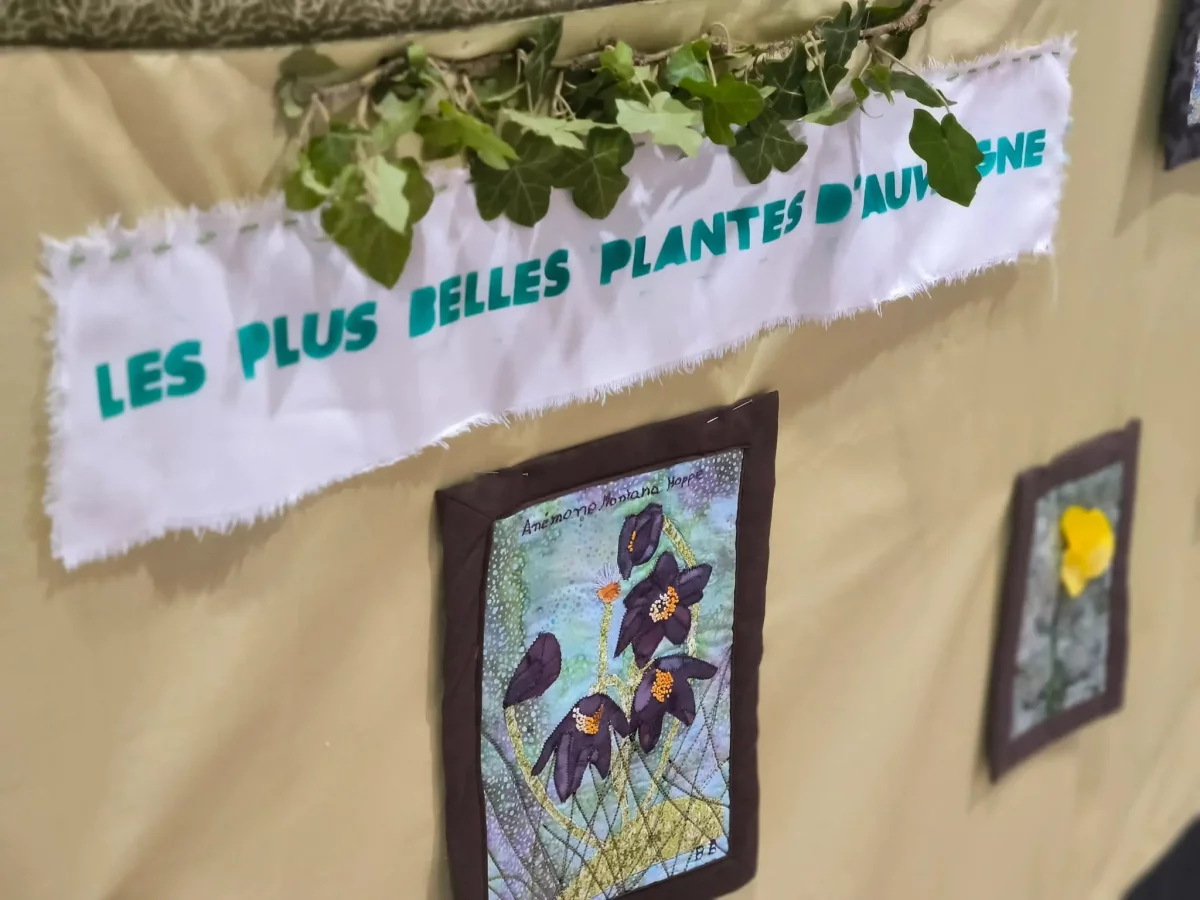 © Pépites Découvertes - Tous droits reservés