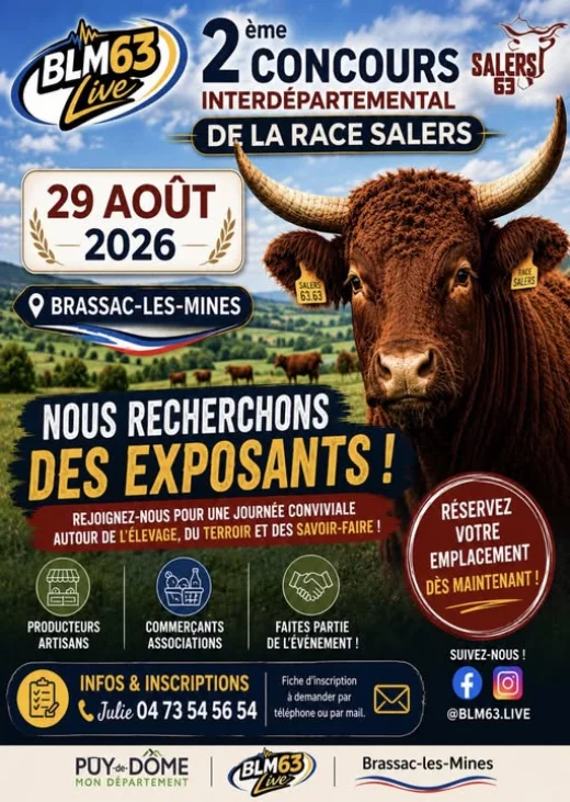 Concours de la race Salers