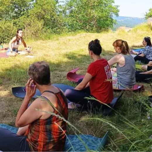 Découvrez le secret des baguettes de sourciers dans les vignes