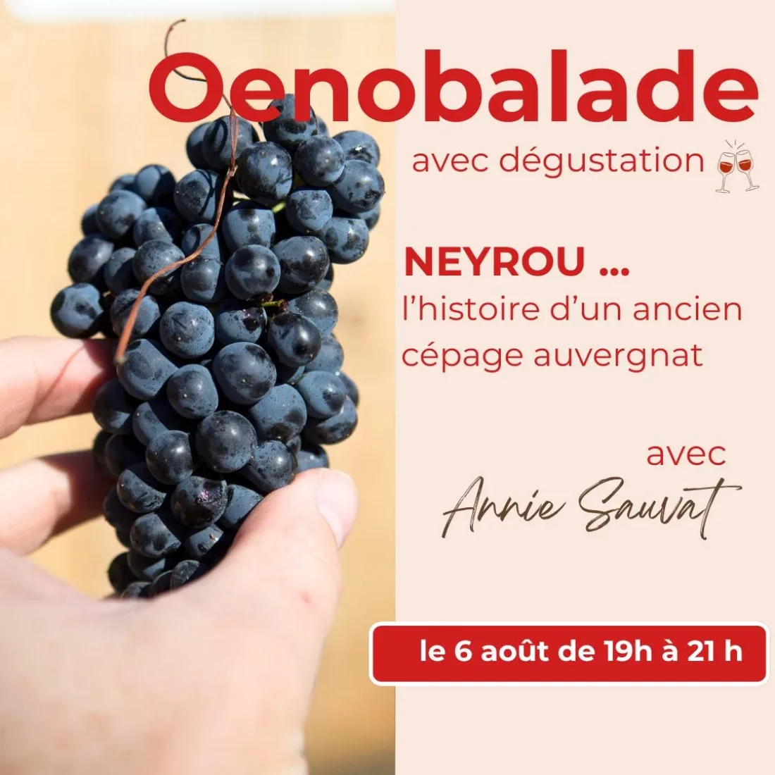 Oenobalade : Neyrou, l'histoire d'un ancien cépage auvergnat