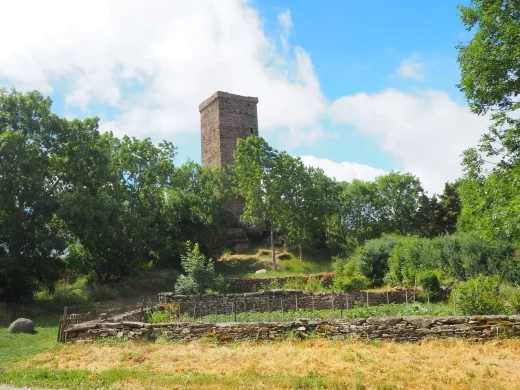Visite guidée de La tour de Besse et le Luguet
