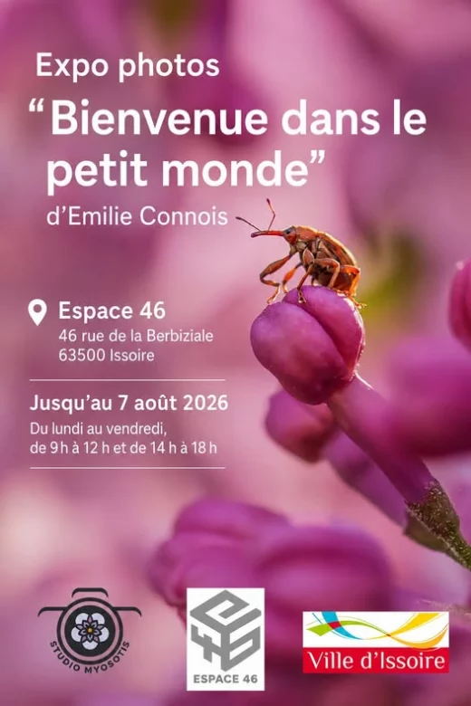Bienvenue dans le petit monde