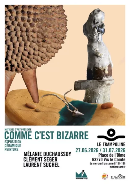 Exposition - Comme c’est bizarre