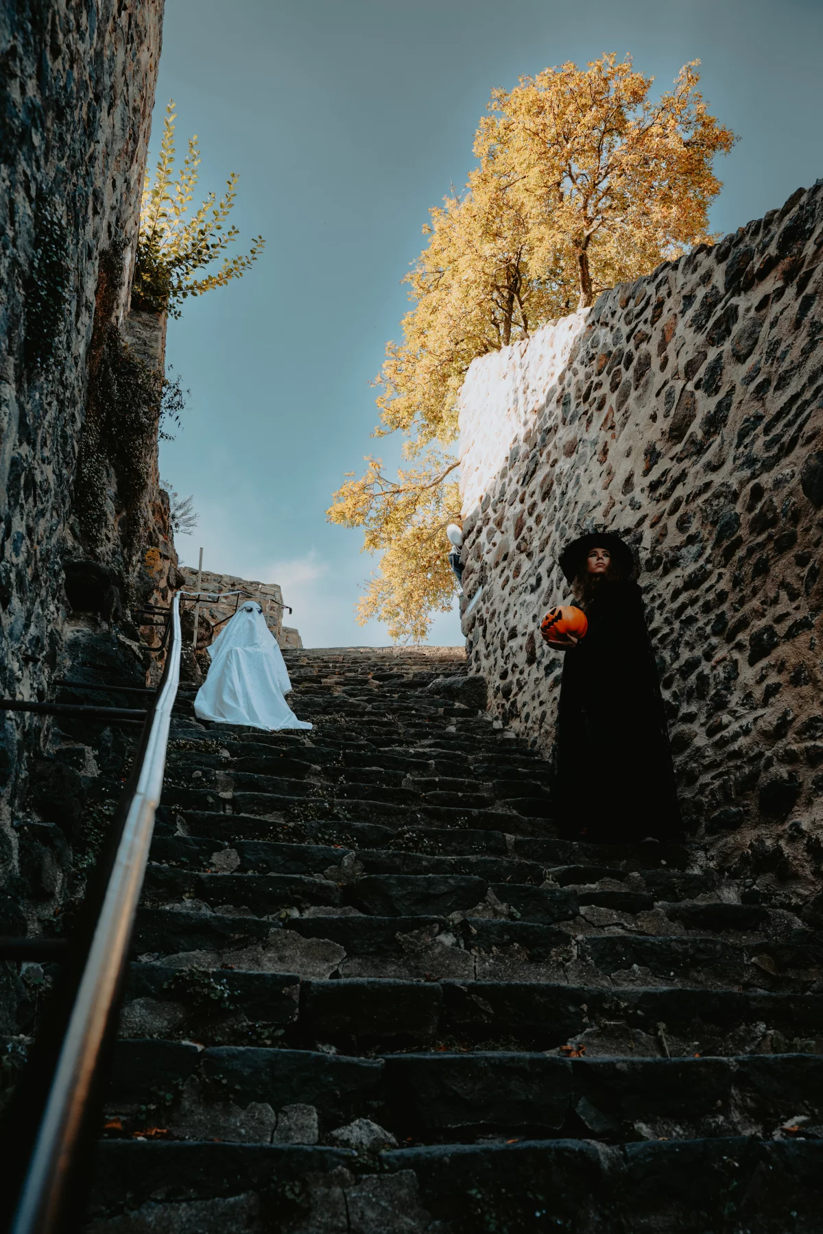 © Pierre Bourey - Tous droits reservés