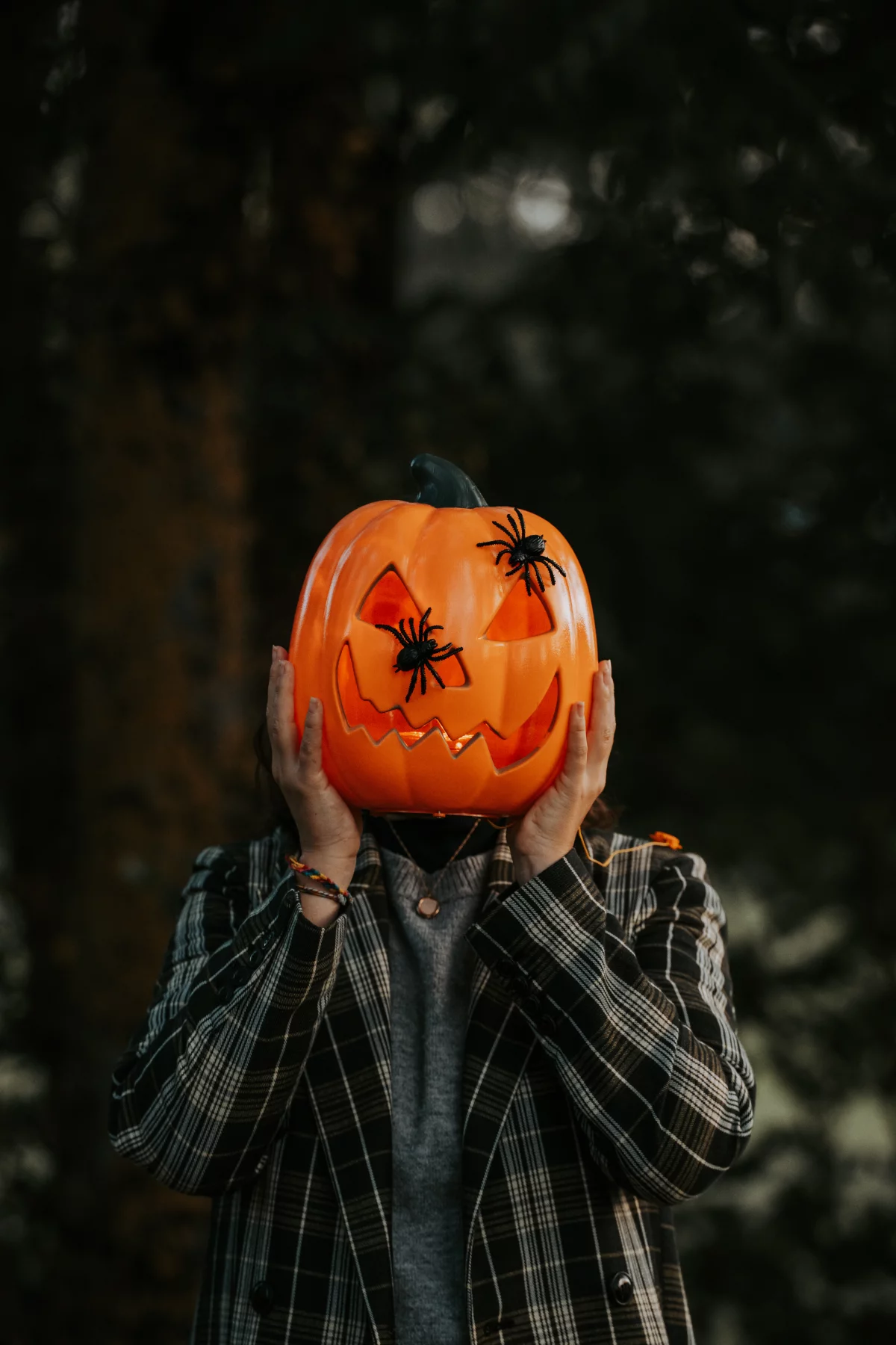 © Pierre Bourey - Tous droits reservés