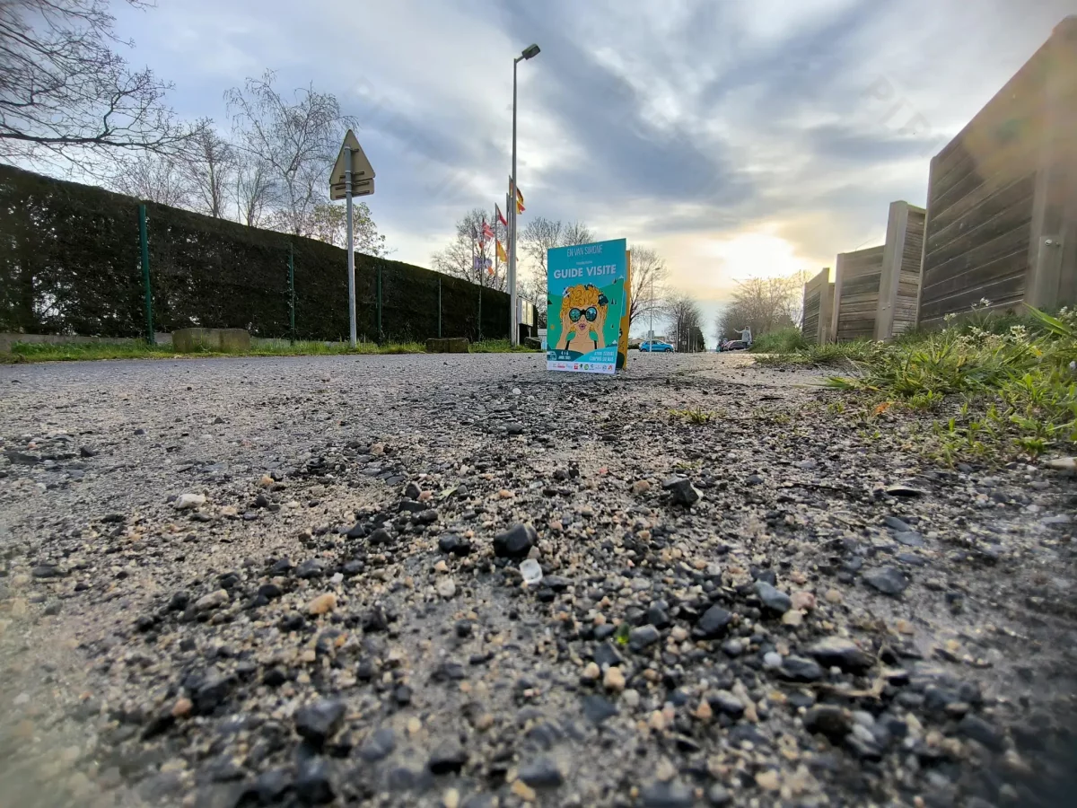 © Pépites Découvertes - Tous droits reservés