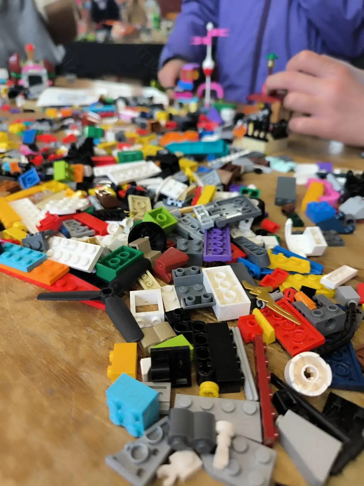 © Pépites Découvertes - Tous droits reservés