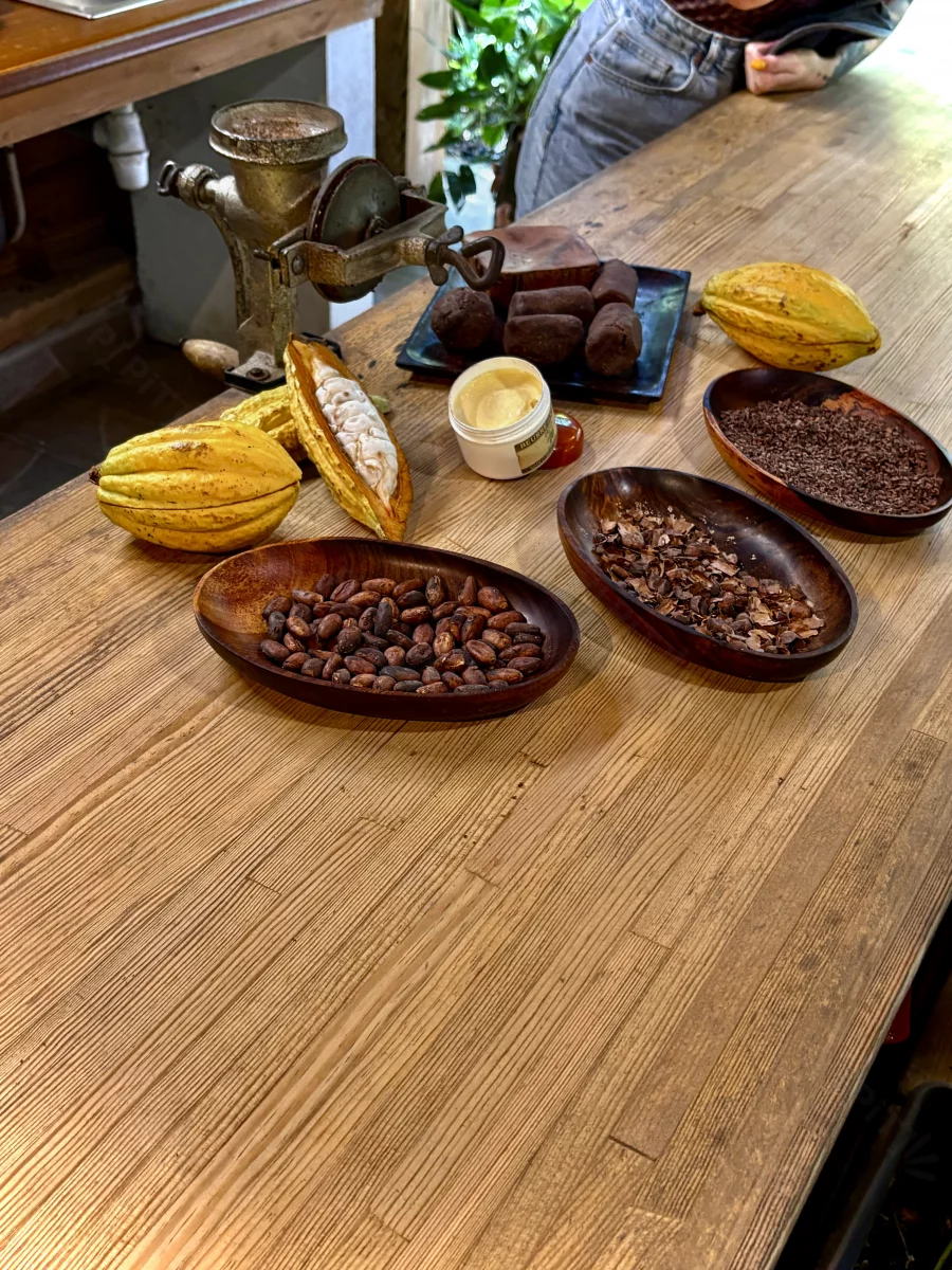 Maison du Cacao