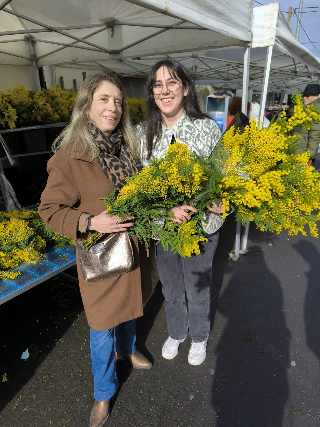 Portrait — Sainte-Paule 2026