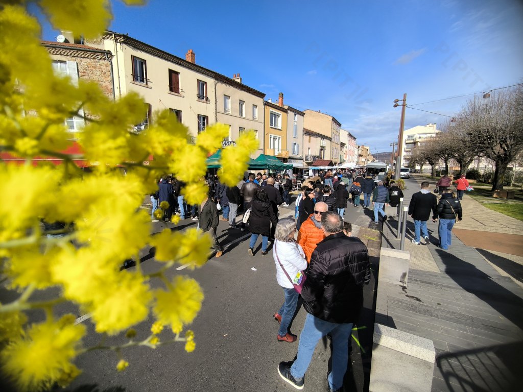 Portrait — Sainte-Paule 2026