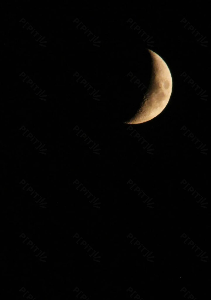 © Pépites Découvertes - Tous droits reservés