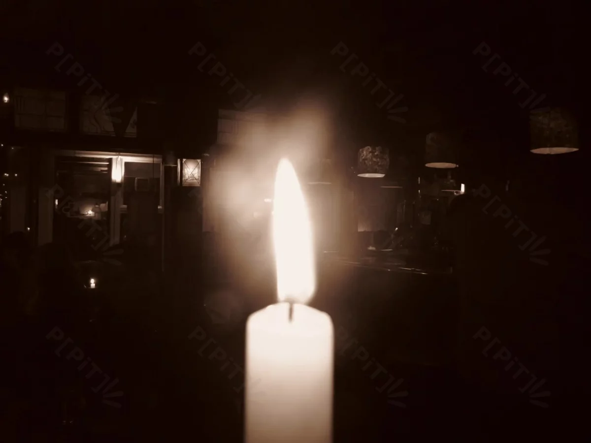 © Pépites Découvertes - Tous droits reservés