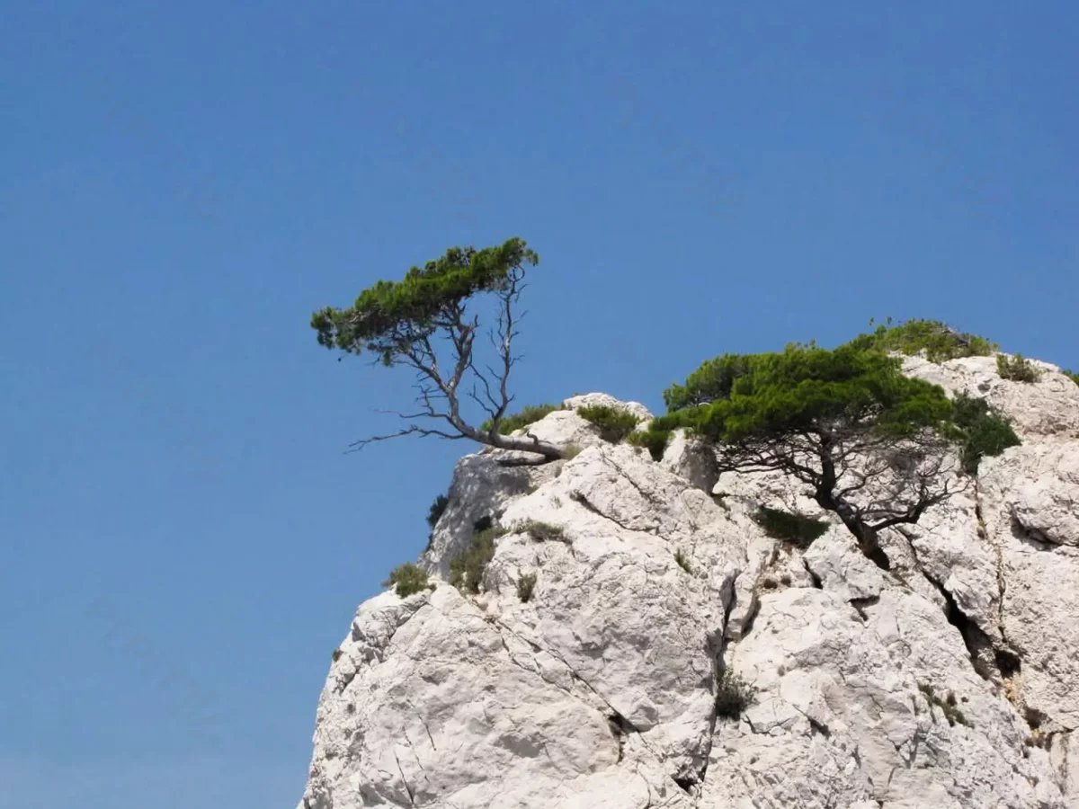 © Pépites Découvertes - Tous droits reservés