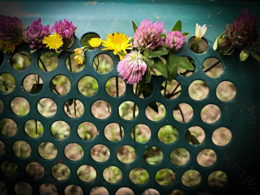 © Pépites Découvertes - Tous droits reservés