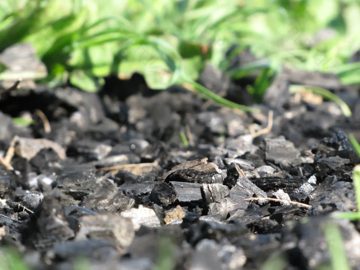 © Pépites Découvertes - Tous droits reservés