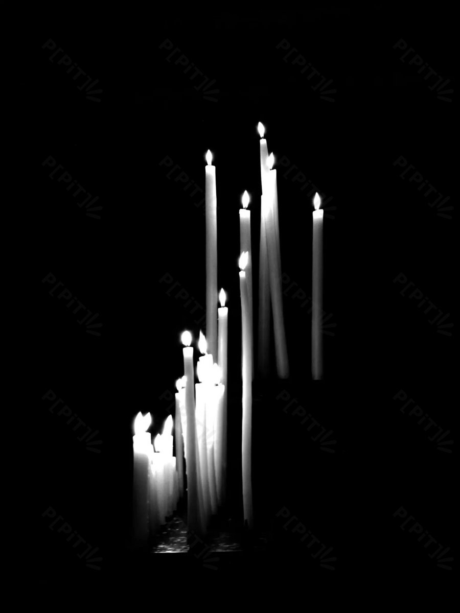 © Pépites Découvertes - Tous droits reservés